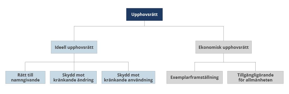 Grafisk uppställning av upphovsrätten uppdelad i ideel upphovsrätt och ekonomisk upphovsrätt.